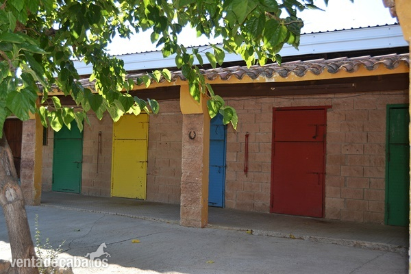 Valls Negocio hípico en venta con vivienda