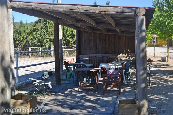 Negocio hípico en venta con vivienda Valls