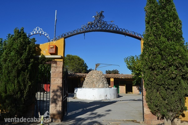 Hípicas y establos en venta - Negocio hípico en venta con vivienda