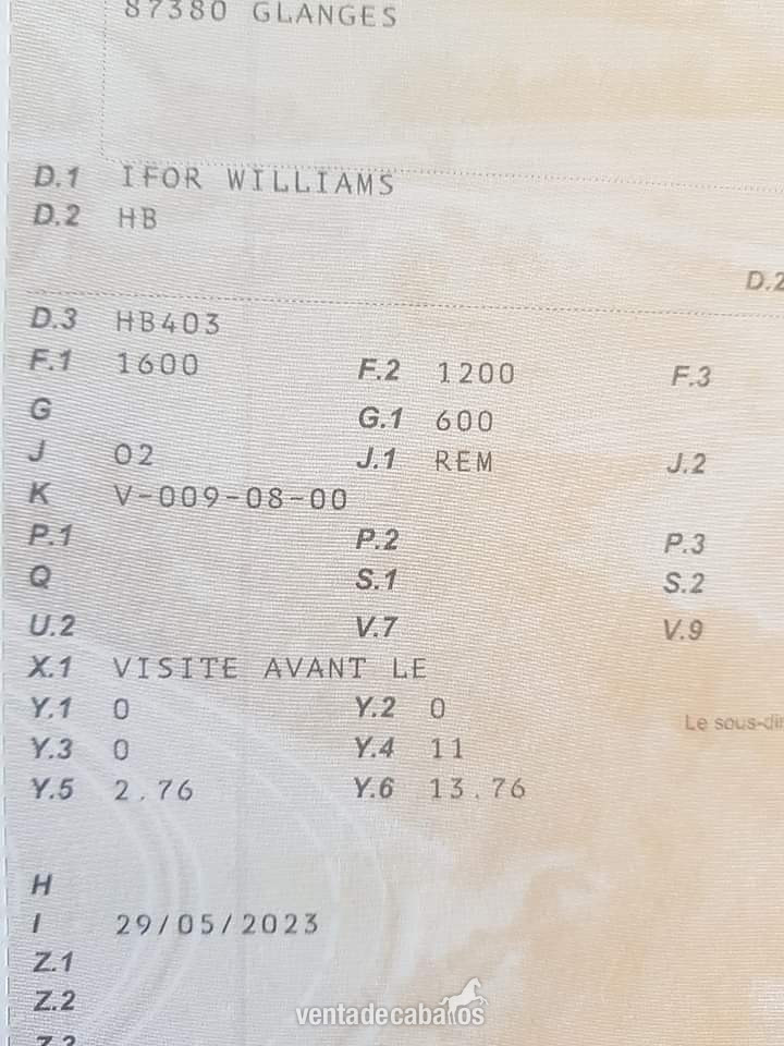  Böckmann Duo R para hasta dos caballos