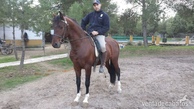 Andaluz