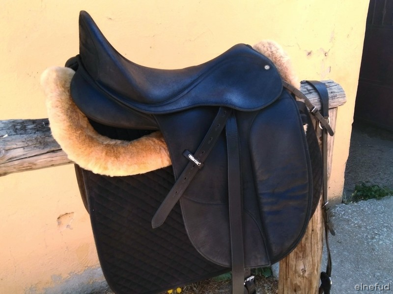 Silla doma Wintec Isabell Werth 18' in 
