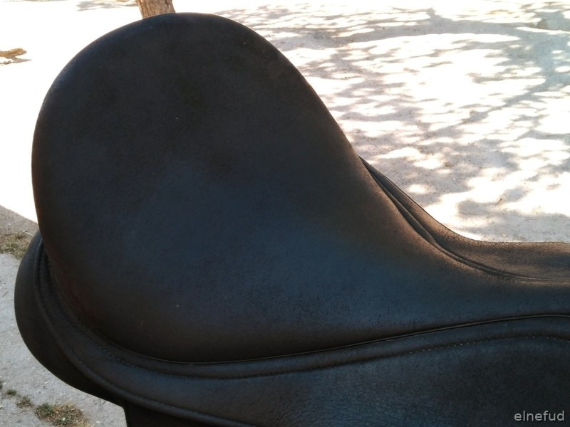  Silla doma Wintec Isabell Werth 18'