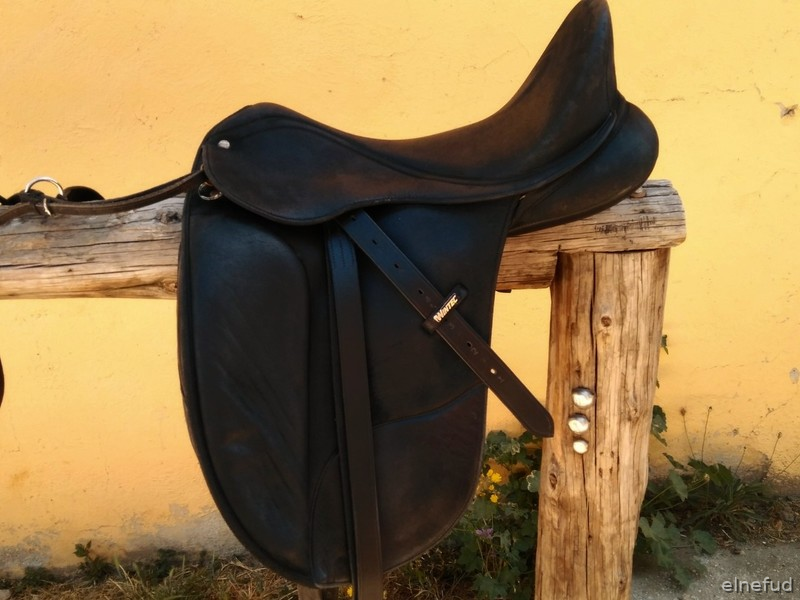 Silla doma Wintec Isabell Werth 18' - Sillas de montar in 