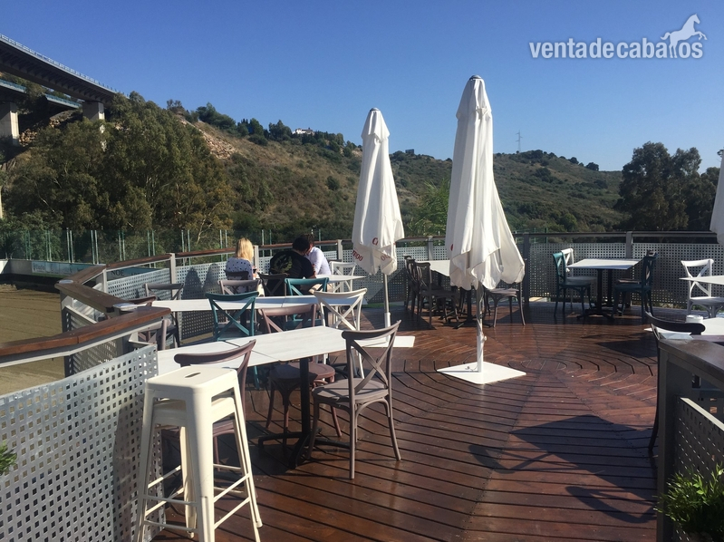 CLUB ECUESTRE Y RESTAURANTE EN VENTA EN MARBELLA