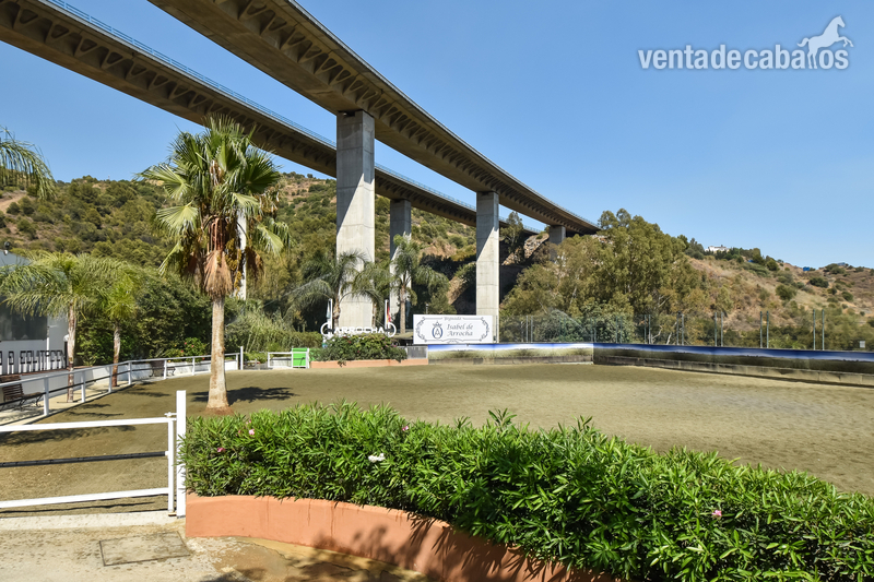 Marbella CLUB ECUESTRE Y RESTAURANTE EN VENTA EN MARBELLA