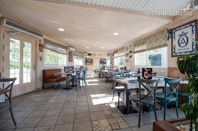 CLUB ECUESTRE Y RESTAURANTE EN VENTA EN MARBELLA - Hípicas y establos en venta in Marbella
