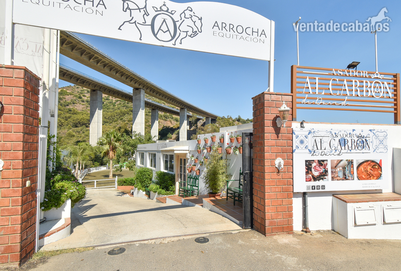 CLUB ECUESTRE Y RESTAURANTE EN VENTA EN MARBELLA - Hípicas y establos en venta