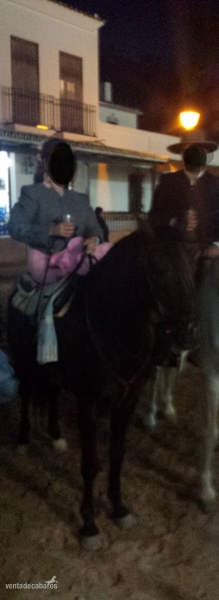 Caballos Capados Lusitano - Se vende caballo lusitano. Muy manso. Precio Negociable.
