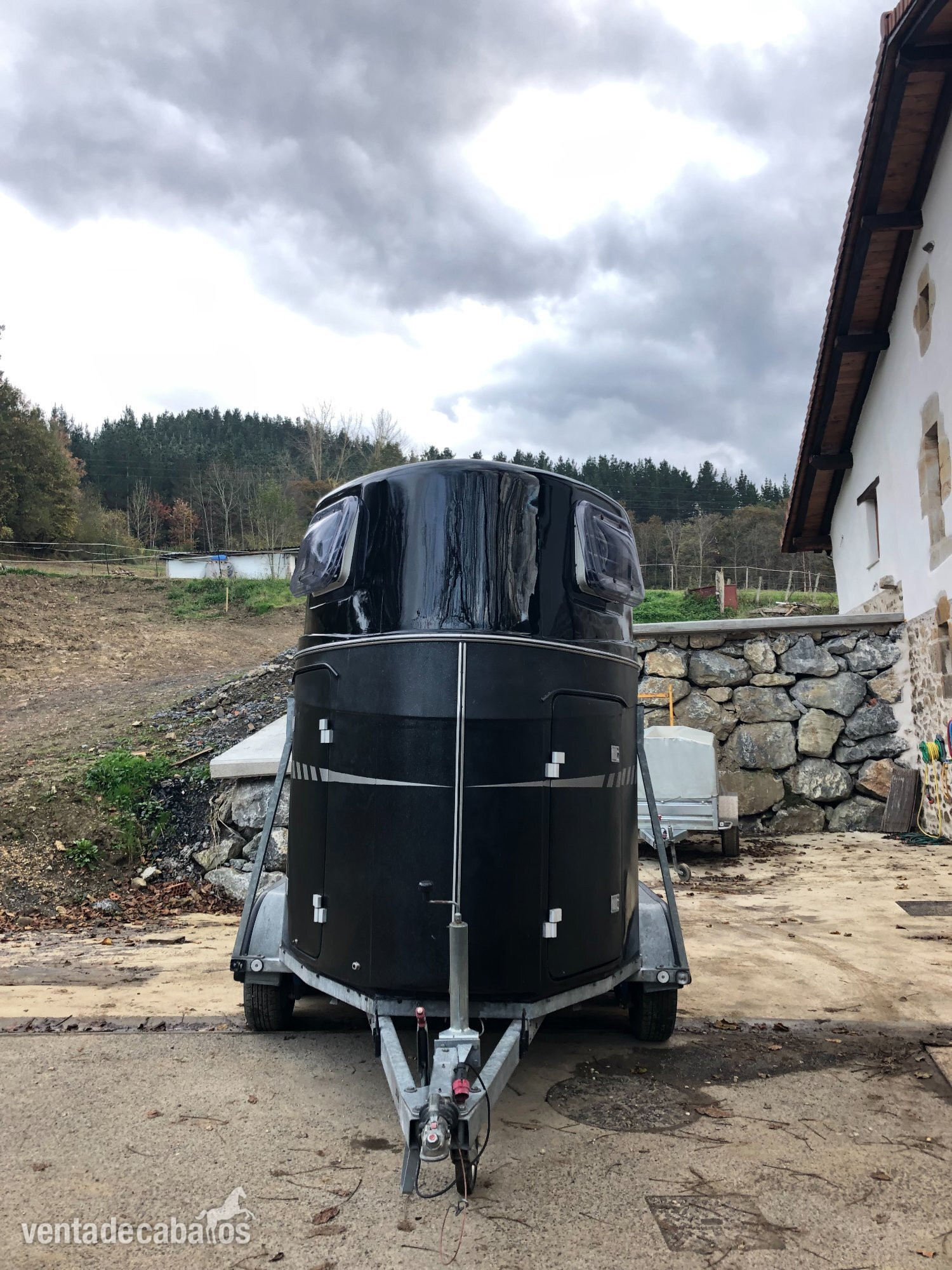 Van o porte para 2 caballaos