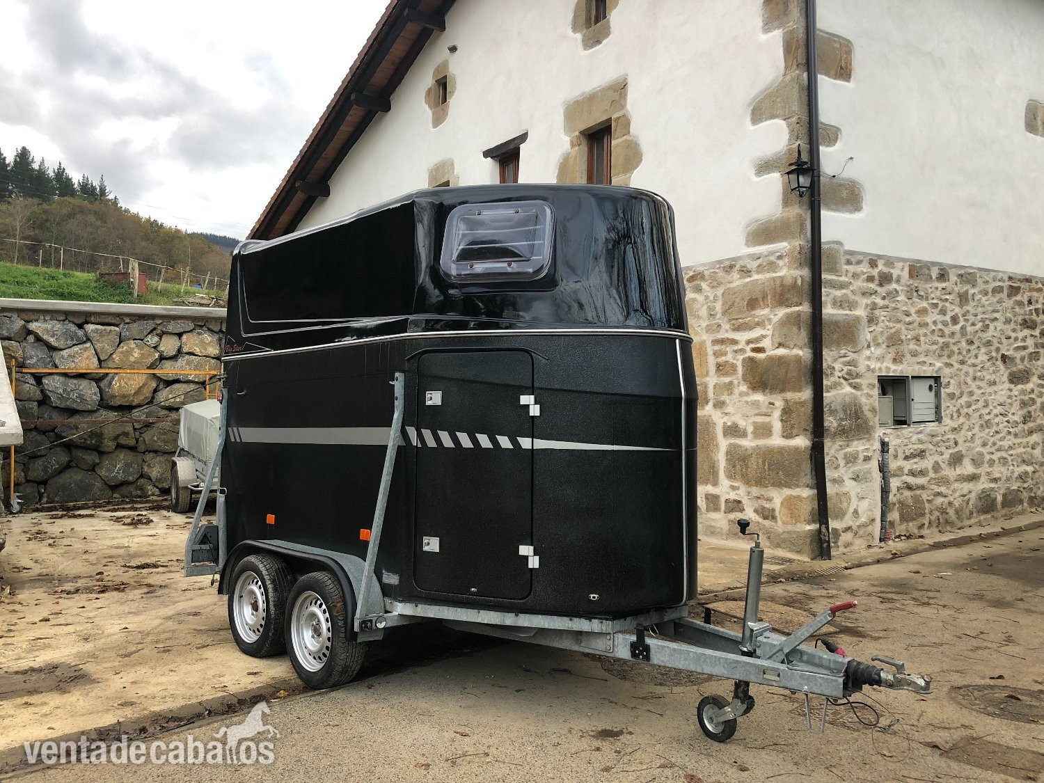 Van o porte para 2 caballaos - Transportes de caballos in 