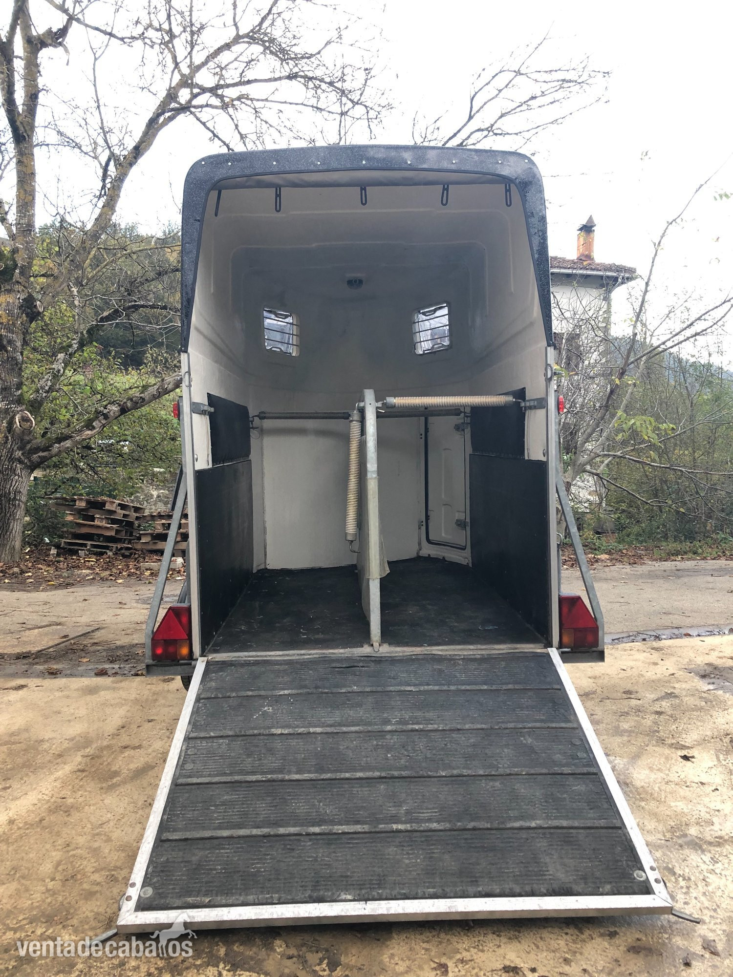 Van o porte para 2 caballaos - Transportes de caballos