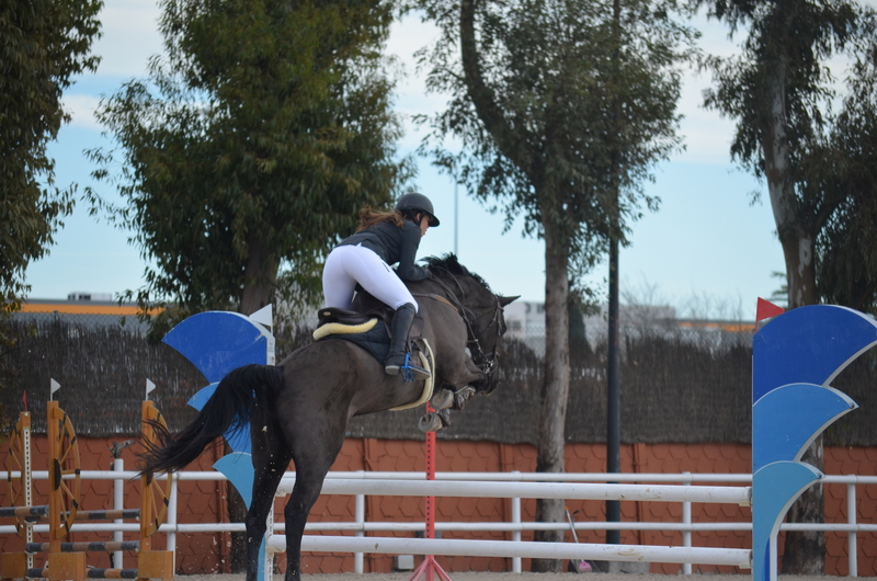 Yegua de Salto