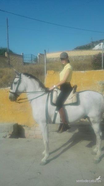 Cruzado {TYPE}