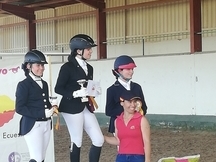Se vende pony B de Doma Clásica
