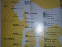 YEGUA FRISÓN EN VENTA