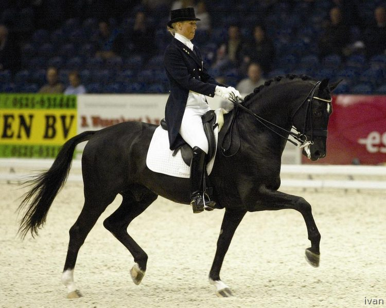 Centroeuropeos para deporte