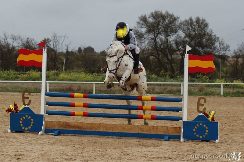 Pecas pony Appaloosa - Caballos Capados