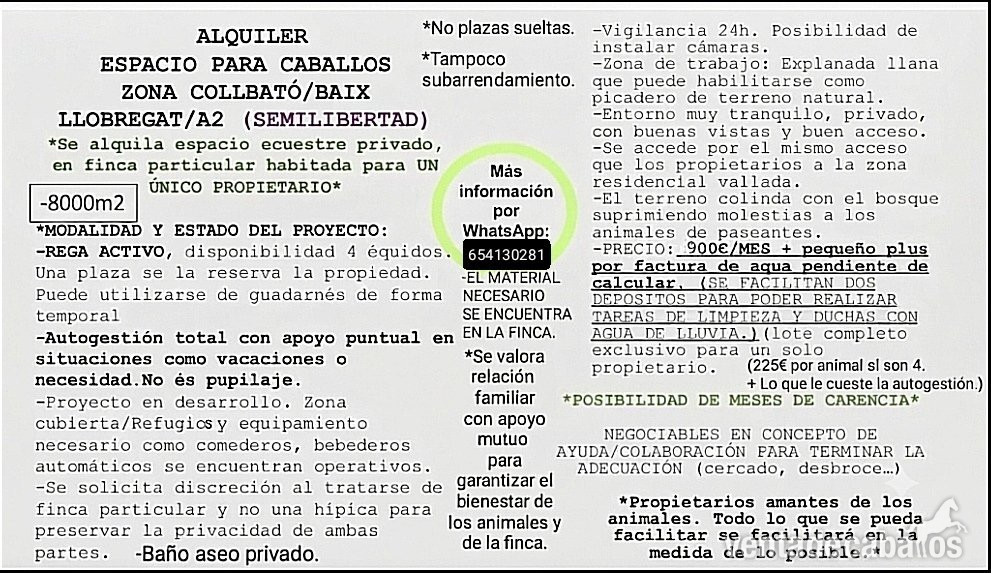 Alquiler espacio caballos COLLBATÓ/BAIX LLOBREGAT/A2 in Collbató 