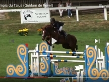 Caballo de salto internacional