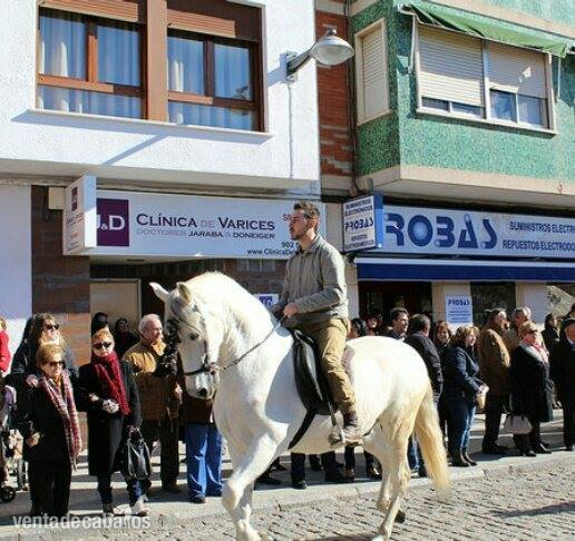 Se vende caballo P.R.E in 