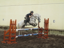 Poni C de saltos
