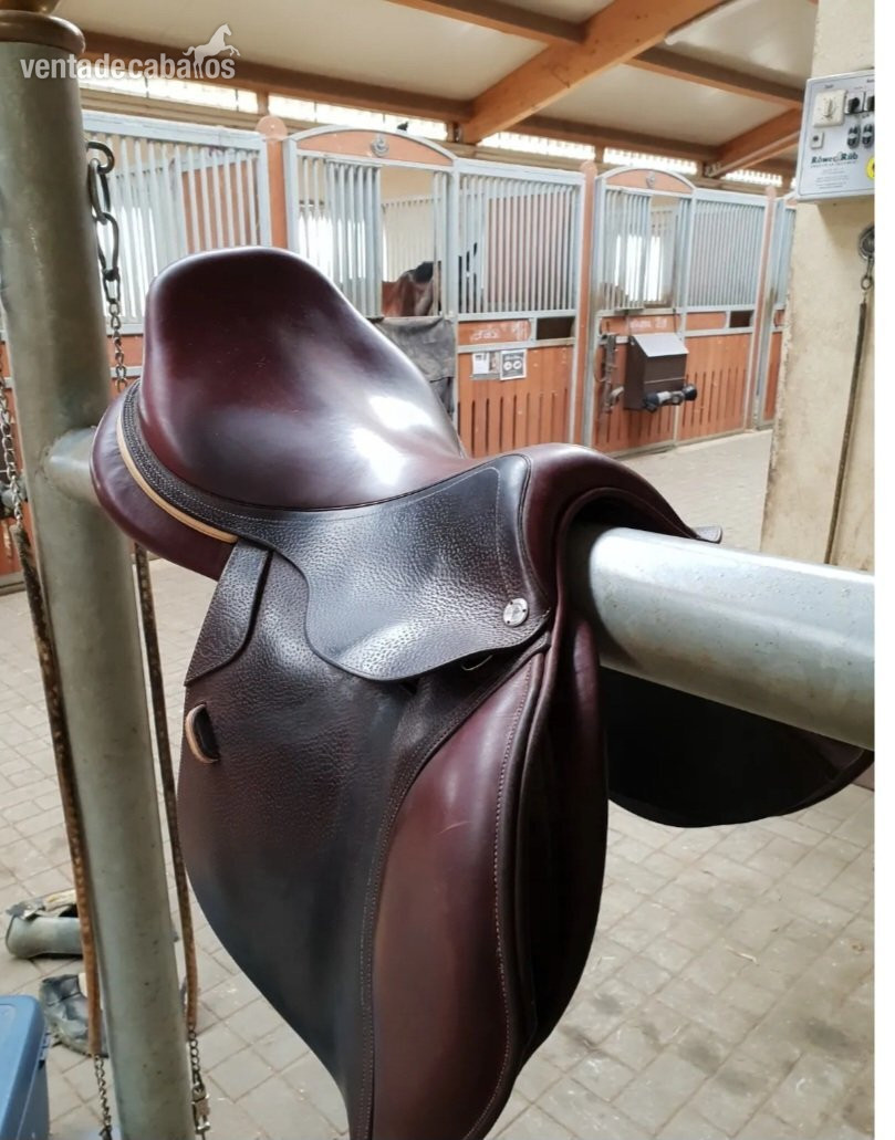 Sillas de montar - MONTURA CWD 17,5"