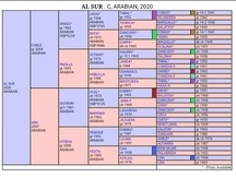 Potro pura raza arabe al destete
