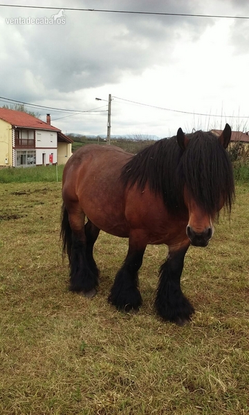 Iturri