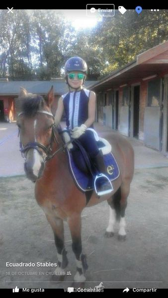 Boing Pony C. salto  in 