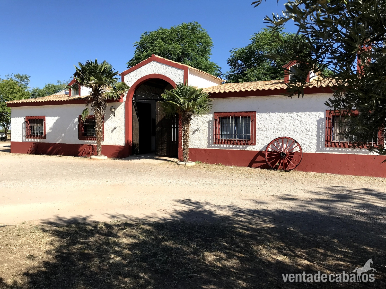 Hípica + chalet in Manzanares 