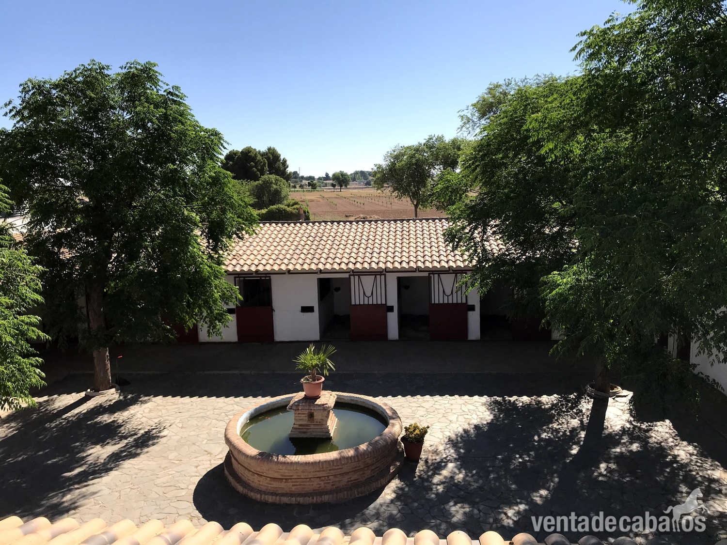 Hípica + chalet