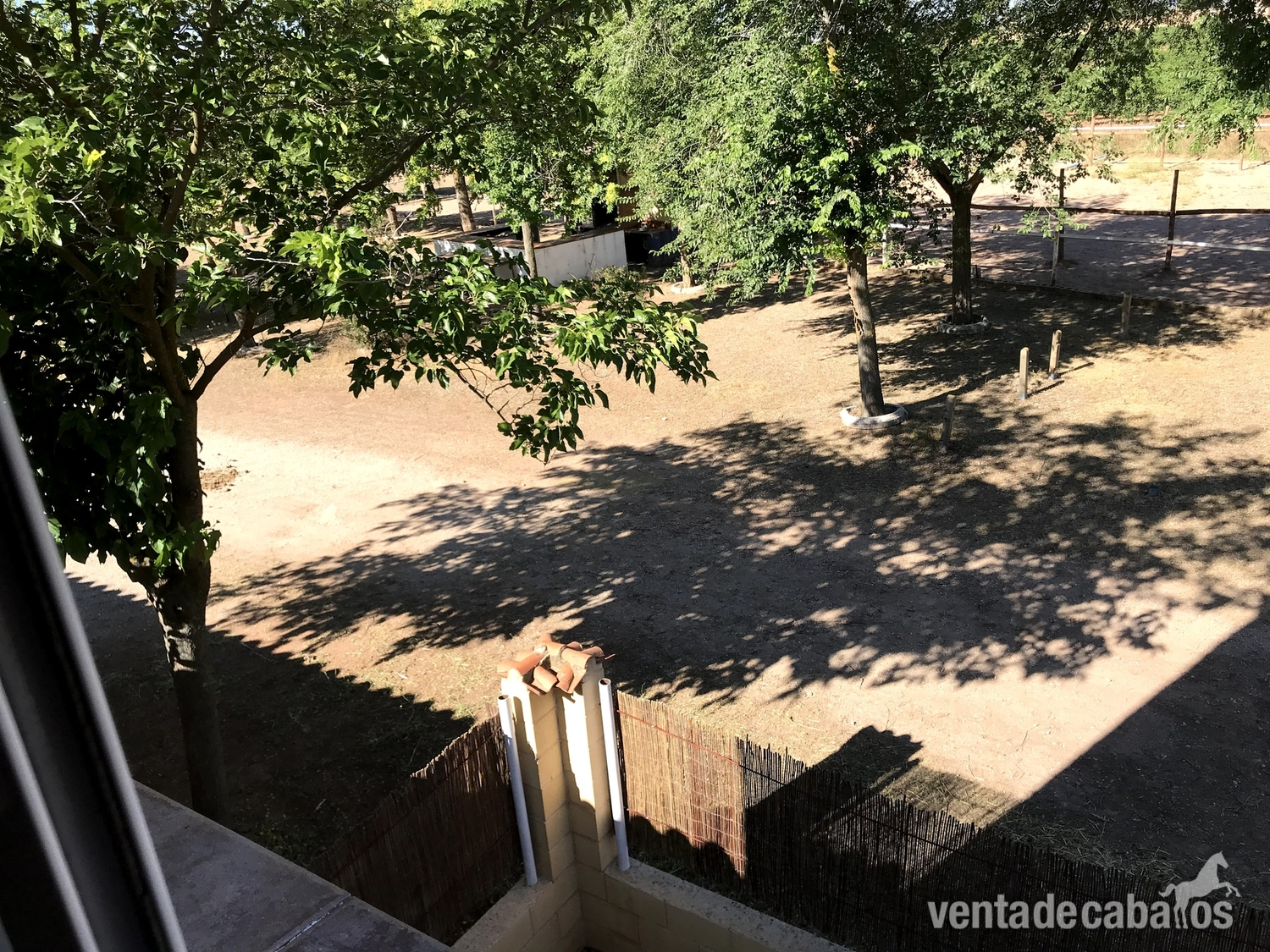 Hípica + chalet - Finca ecuestre in Manzanares 