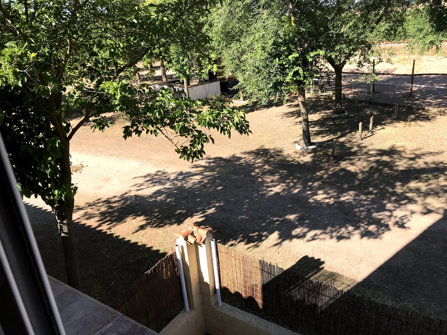 Hípica + chalet - Finca ecuestre in Manzanares 
