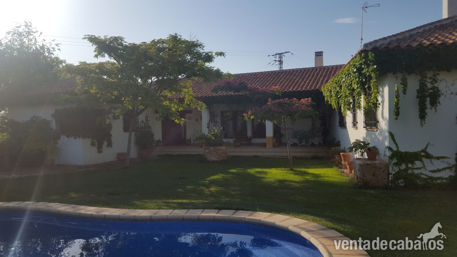 Finca ecuestre - Hípica + chalet