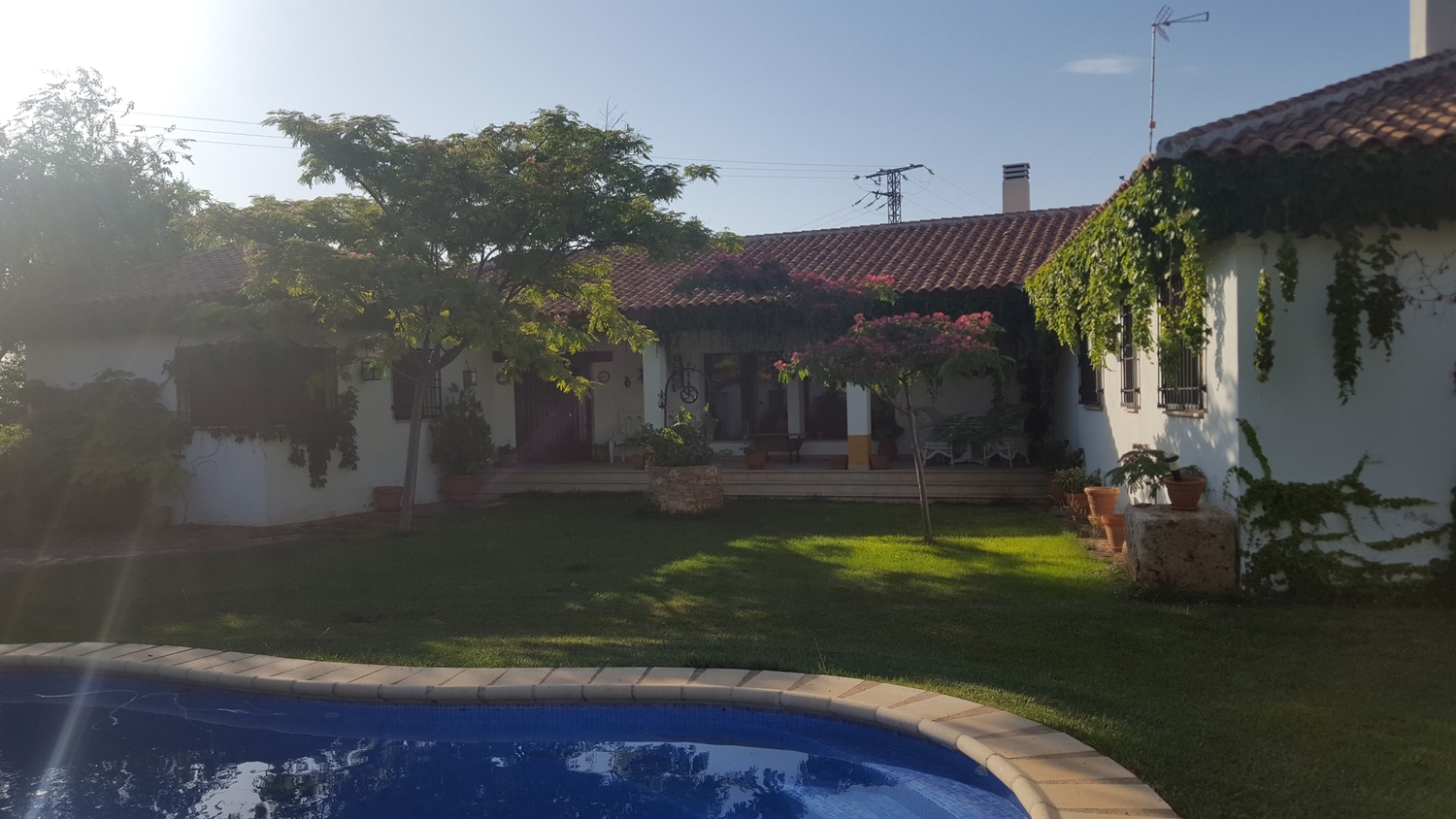 Finca ecuestre - Hípica + chalet