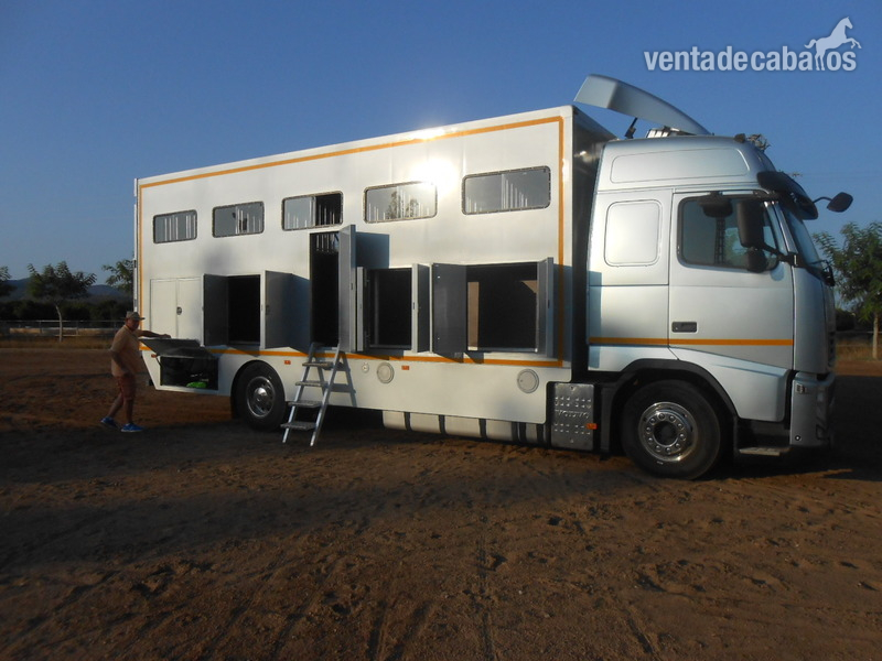 Camión Transporte Para Caballos Volvo FHB3C in 