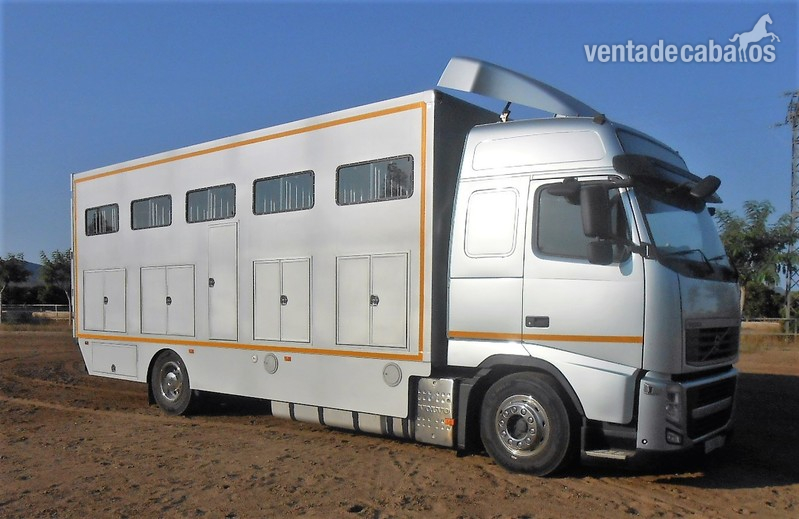 Camión Transporte Para Caballos Volvo FHB3C