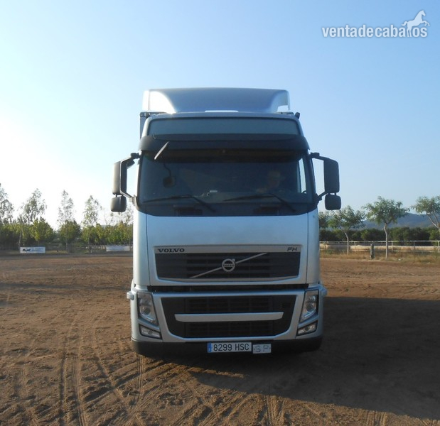  Camión Transporte Para Caballos Volvo FHB3C