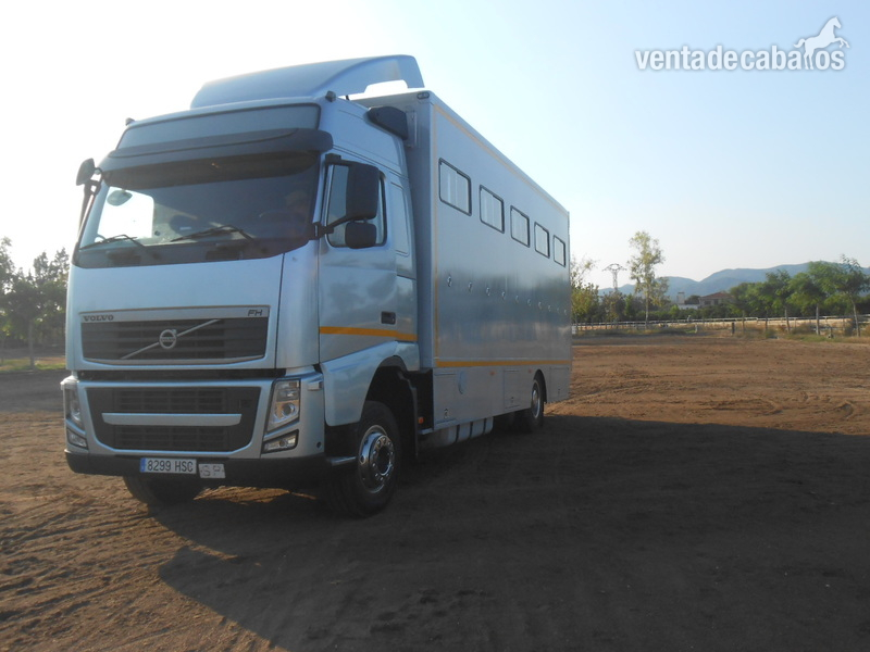 Camión Transporte Para Caballos Volvo FHB3C - Transportes de caballos in 