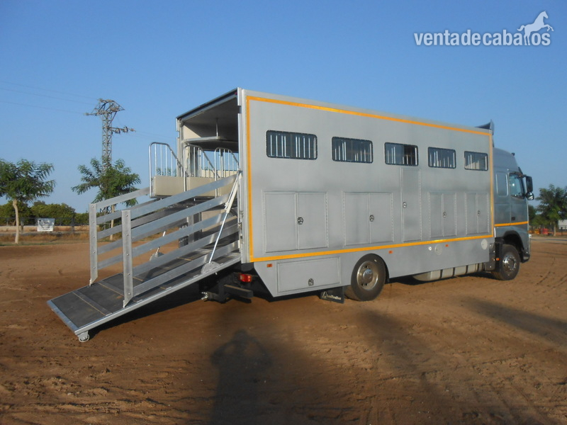 Transportes de caballos - Camión Transporte Para Caballos Volvo FHB3C in 