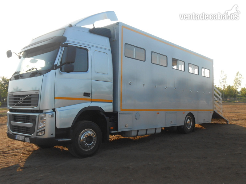 Transportes de caballos - Camión Transporte Para Caballos Volvo FHB3C