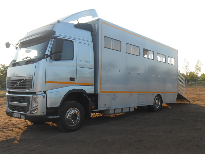 Transportes de caballos - Camión Transporte Para Caballos Volvo FHB3C