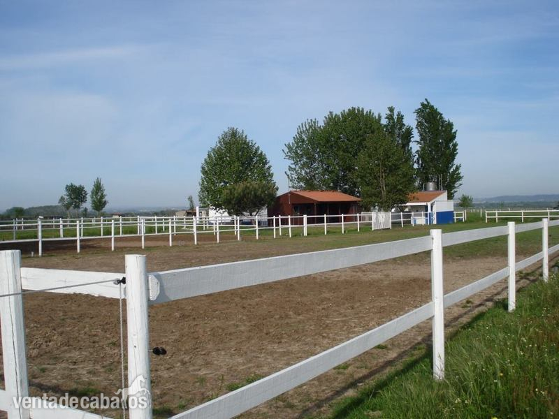 finca para caballos in 