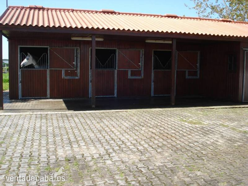 finca para caballos