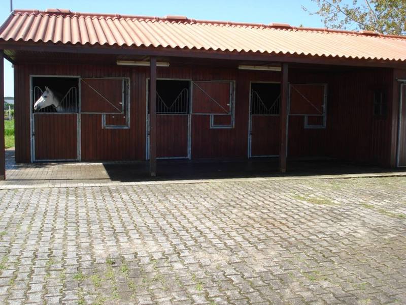 finca para caballos