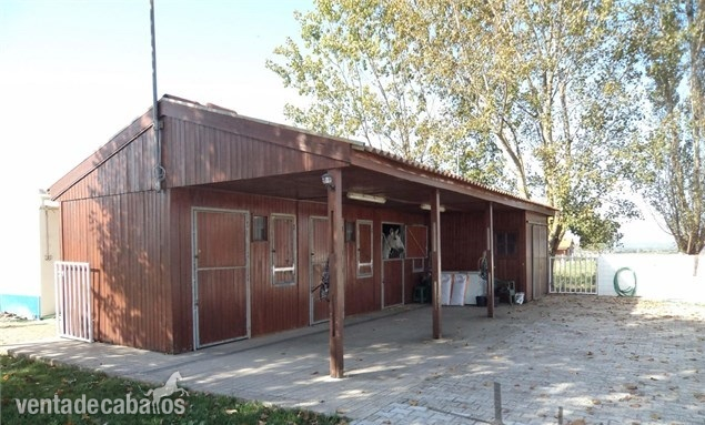  finca para caballos