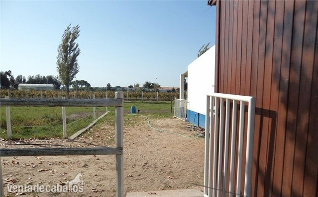 finca para caballos - Finca ecuestre
