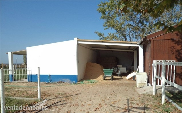 finca para caballos 