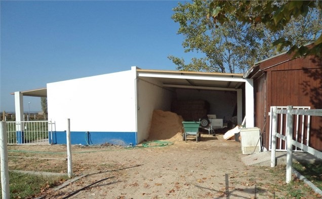 finca para caballos 